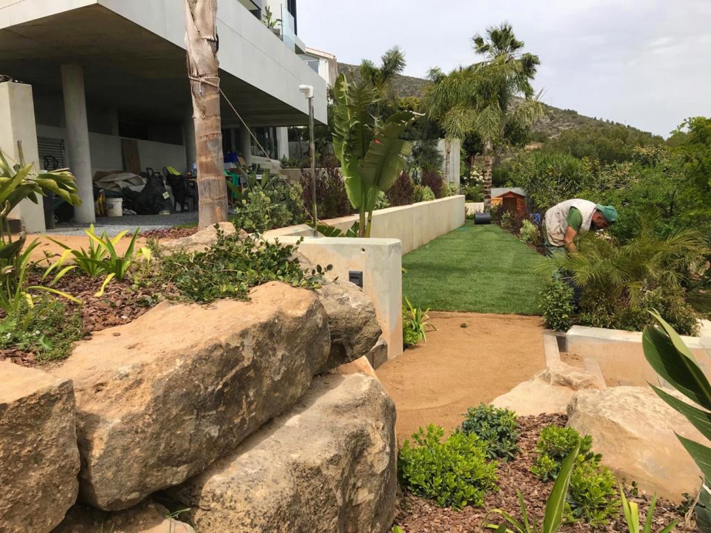 Errores Comunes al Cuidar un Jardín y Cómo Evitarlos